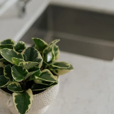 Apartmán Dock 1 Santa Cruz de Tenerife